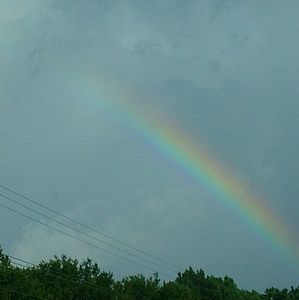 Meet your Posher, Sevi